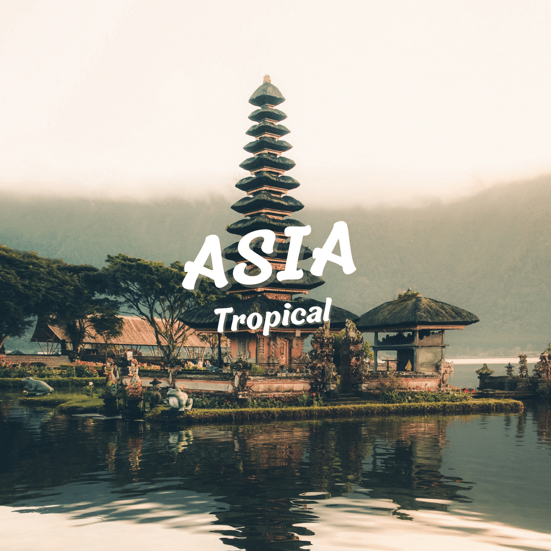 ✈ Pack Asia Tropical 🌴