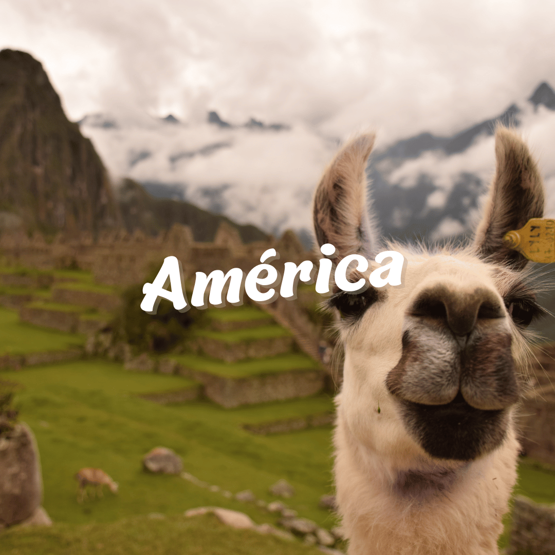 ✈ Pack América🌎