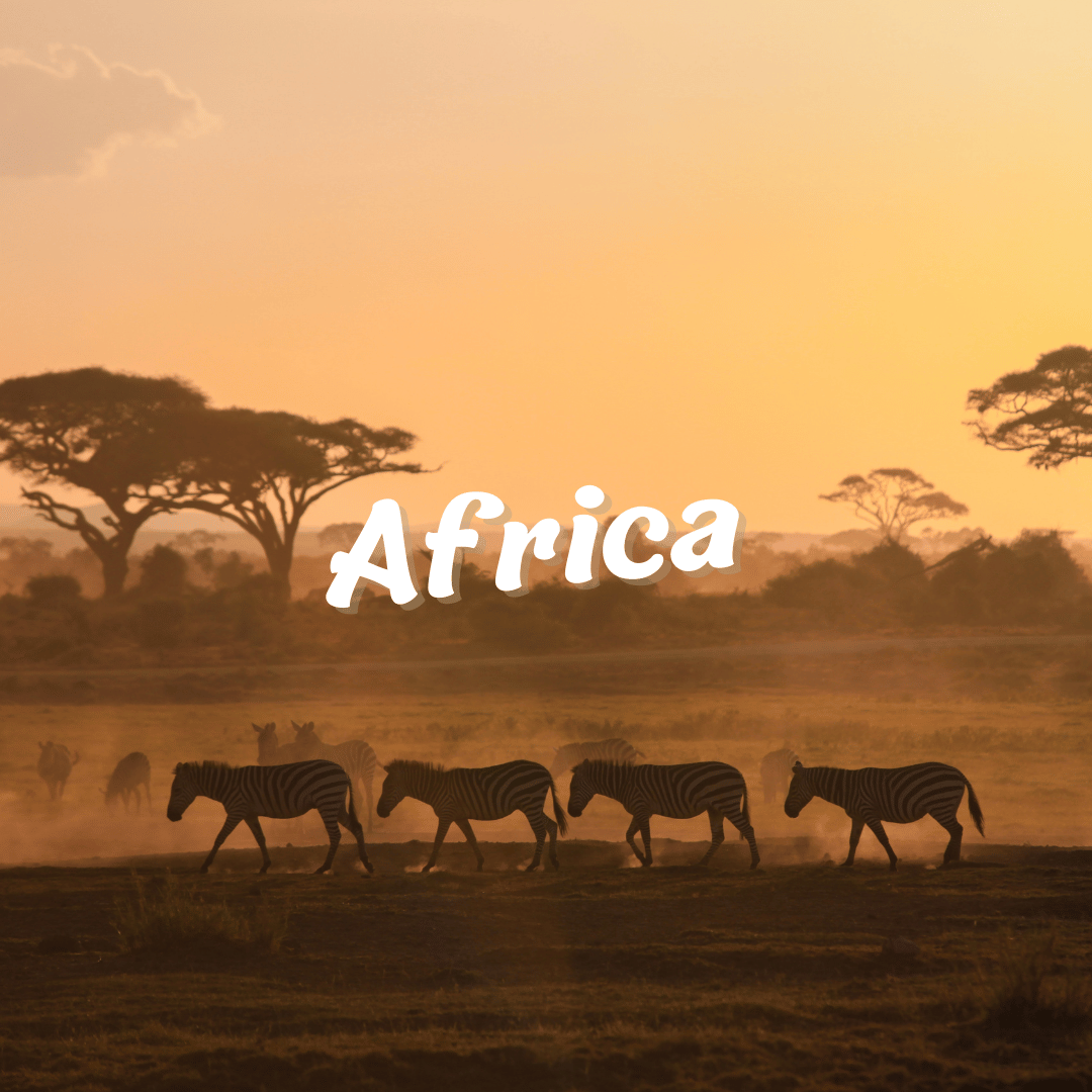 ✈ Pack África 🐘☀