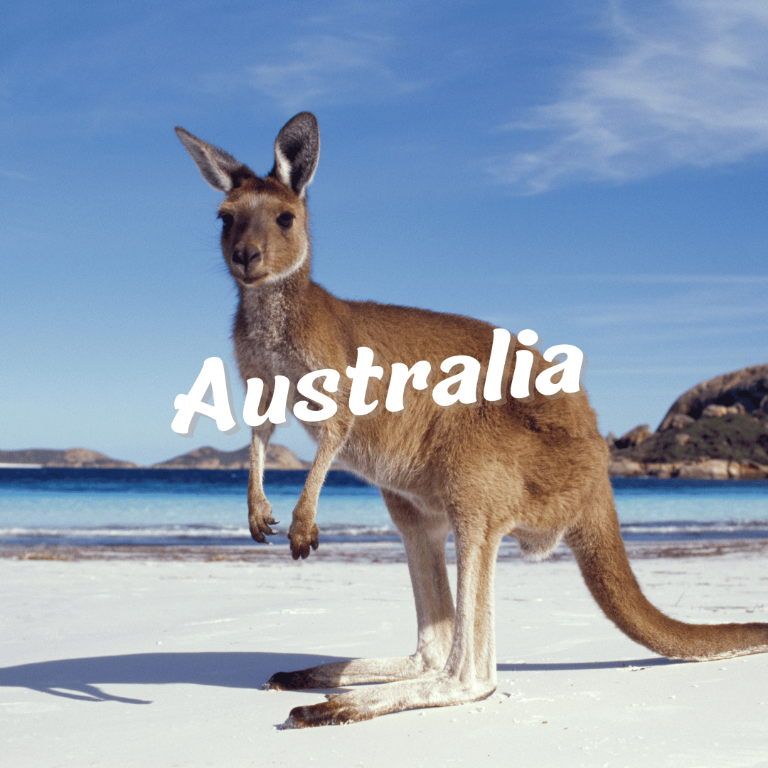 ✈ Pack Australia🐨☀