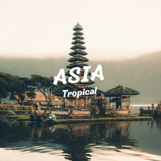 ✈ Pack Asia Tropical 🌴