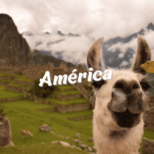 ✈ Pack América🌎
